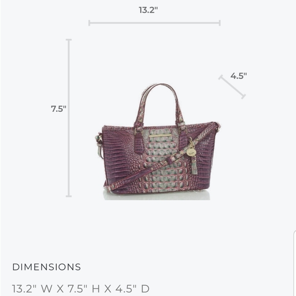 Brahmin Julep Melbourne Mini Asher NWT - Picture 15 of 16